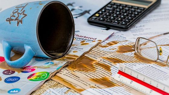 Delphinium - Avoidable mistakes in business