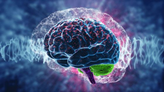 A glowing digital illustration of the human brain surrounded by brainwave patterns