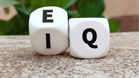 Emotional-intelligence-101-png